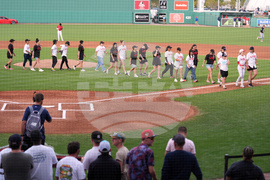 WPBL Womens Baseball