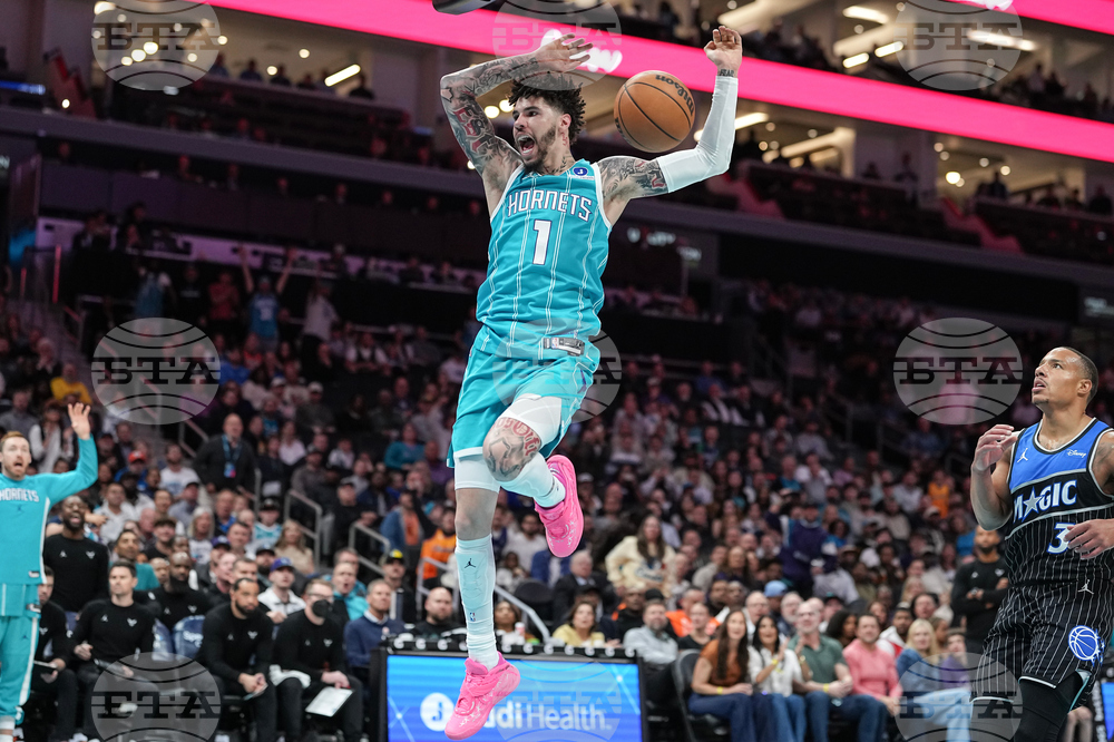 Magic Hornets Basketball