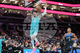 Magic Hornets Basketball