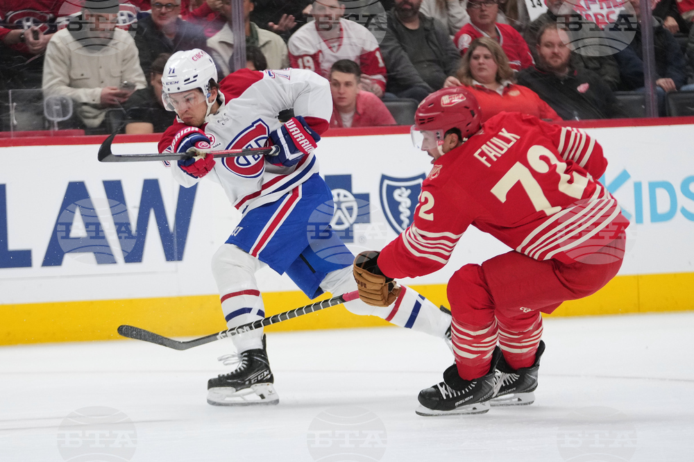 Canadiens Red Wings Hockey