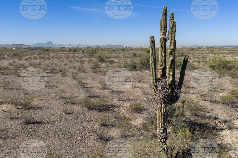 Arizona Severe Weather