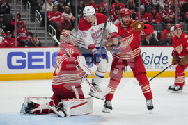 Canadiens Red Wings Hockey