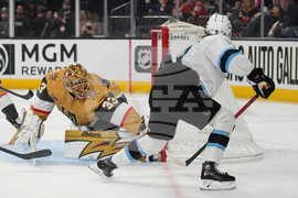 Mammoth Golden Knights Hockey