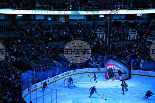 Sabres Sharks Hockey