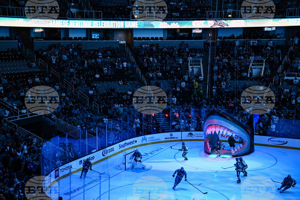 Sabres Sharks Hockey