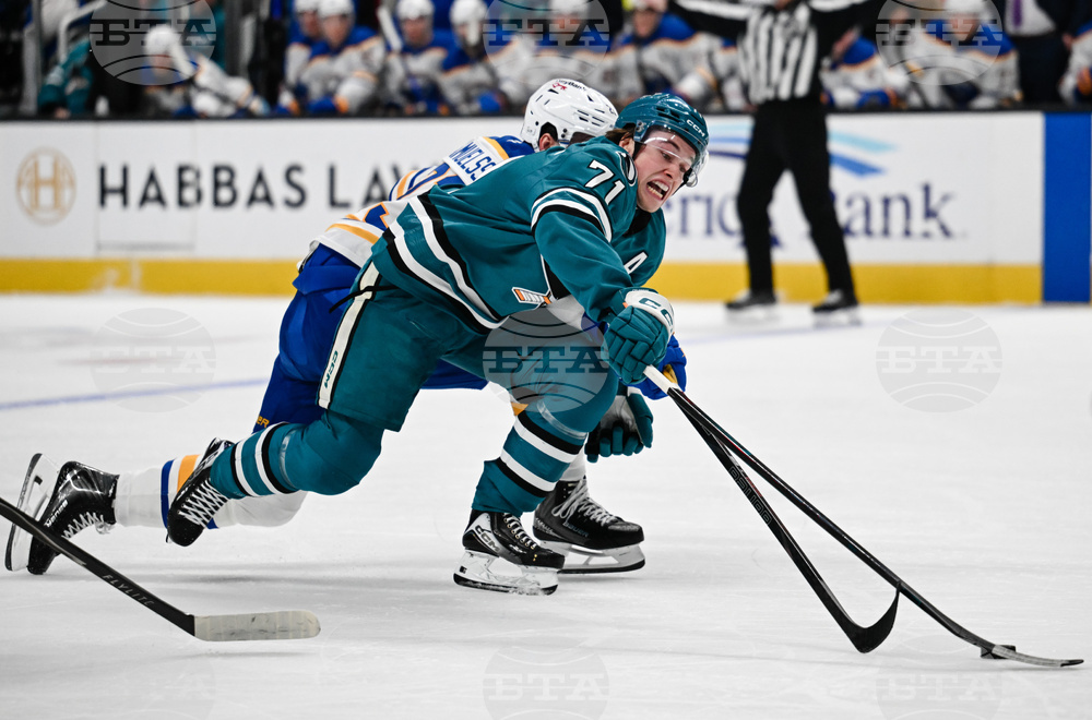 Sabres Sharks Hockey