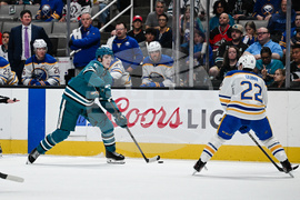 Sabres Sharks Hockey