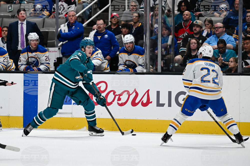 Sabres Sharks Hockey