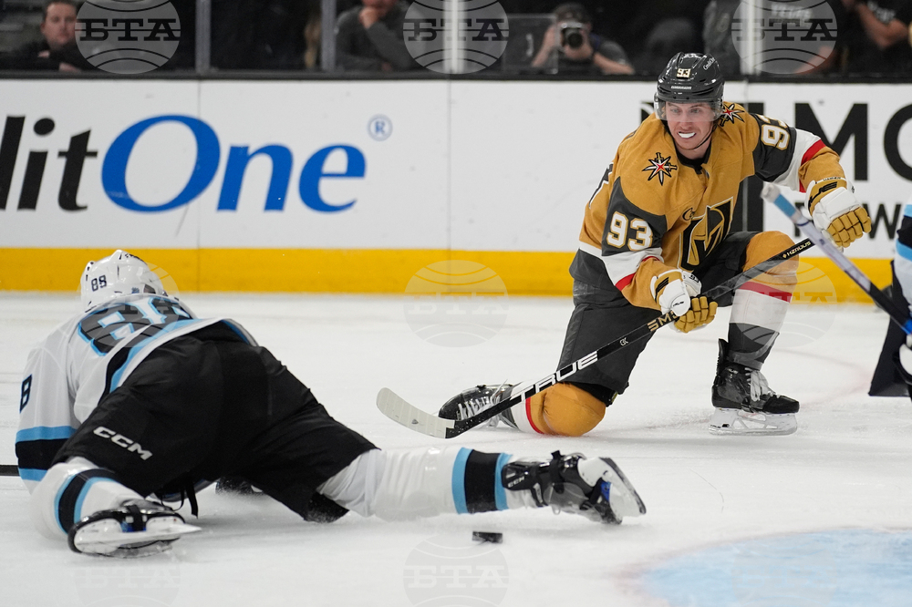Mammoth Golden Knights Hockey