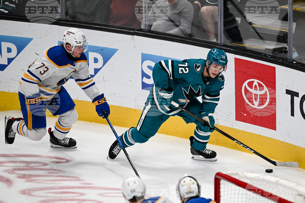 Sabres Sharks Hockey