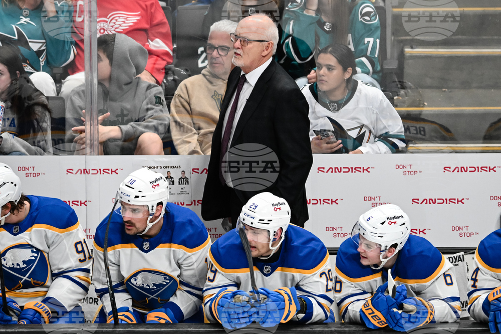 Sabres Sharks Hockey