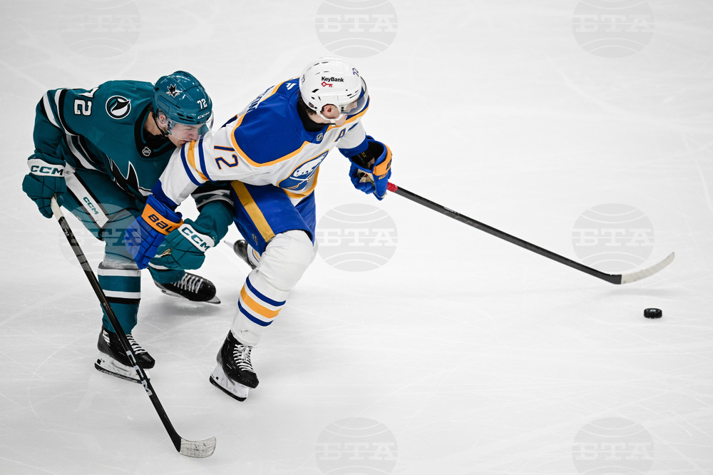 Sabres Sharks Hockey