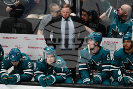 Sabres Sharks Hockey