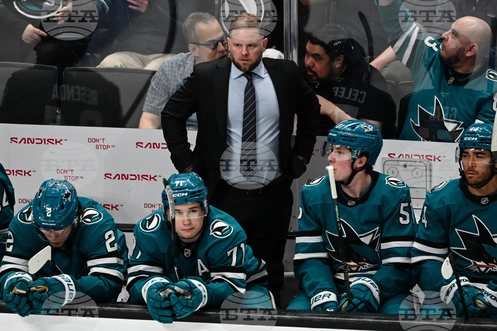 Sabres Sharks Hockey