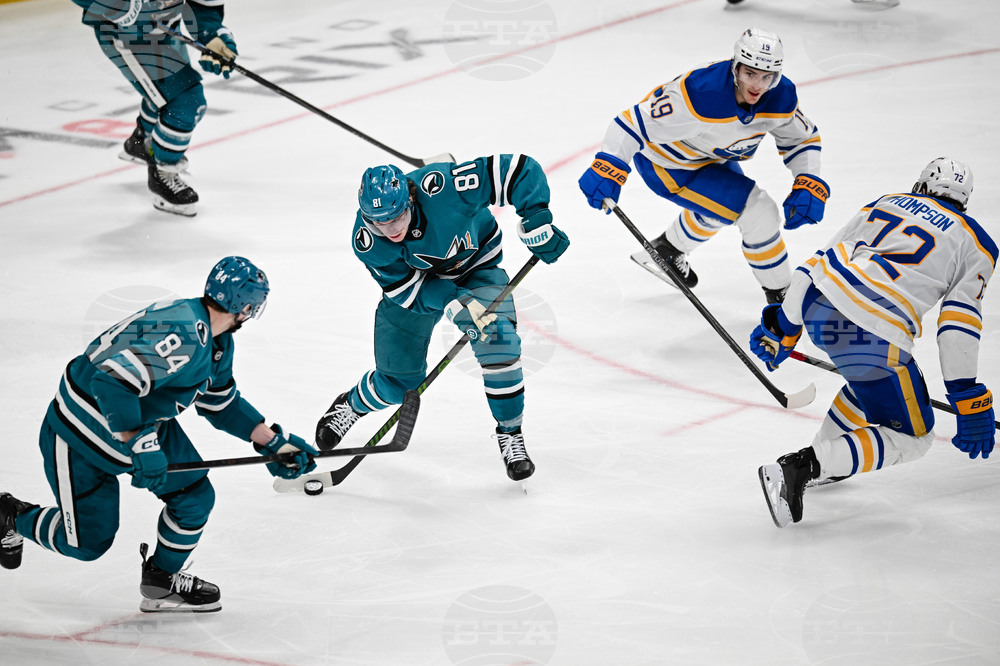 Sabres Sharks Hockey