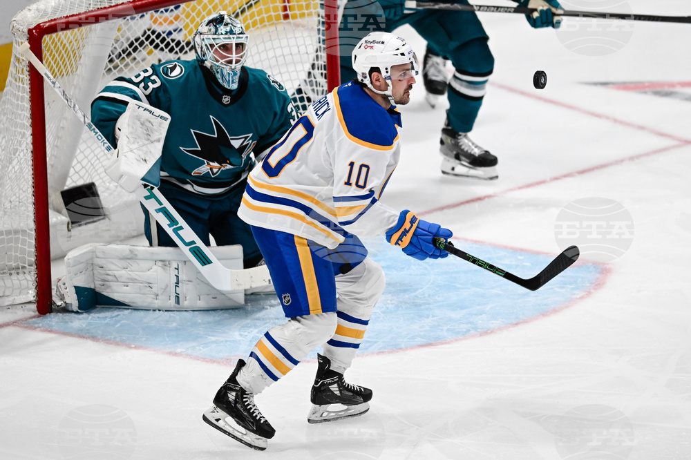 Sabres Sharks Hockey