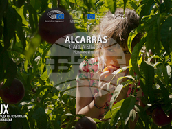 Снимка: Европейски парламент