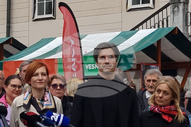 Словения - парламентарни избори - предизборна кампания - управляваща коалиция