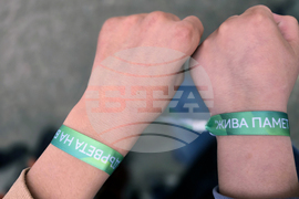 Долни Дъбник - дръвчета - Илия Бешков