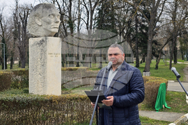 Долни Дъбник - дръвчета - Илия Бешков