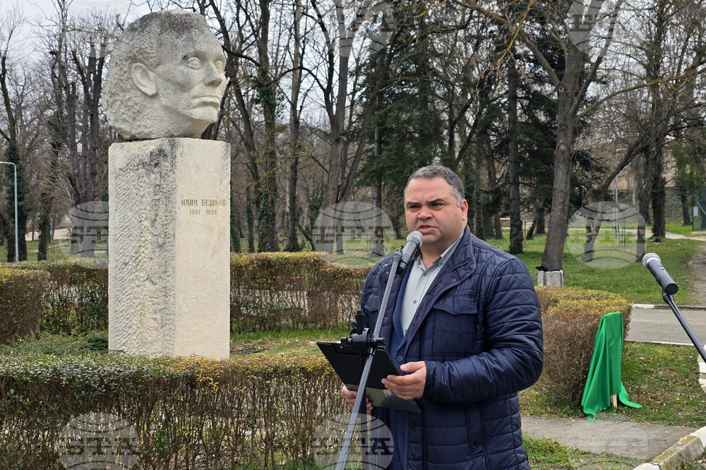 Долни Дъбник - дръвчета - Илия Бешков