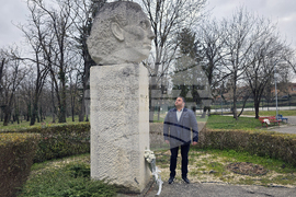 Долни Дъбник - дръвчета - Илия Бешков