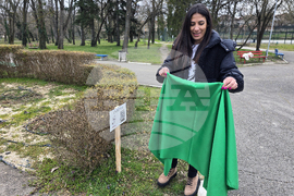 Долни Дъбник - дръвчета - Илия Бешков