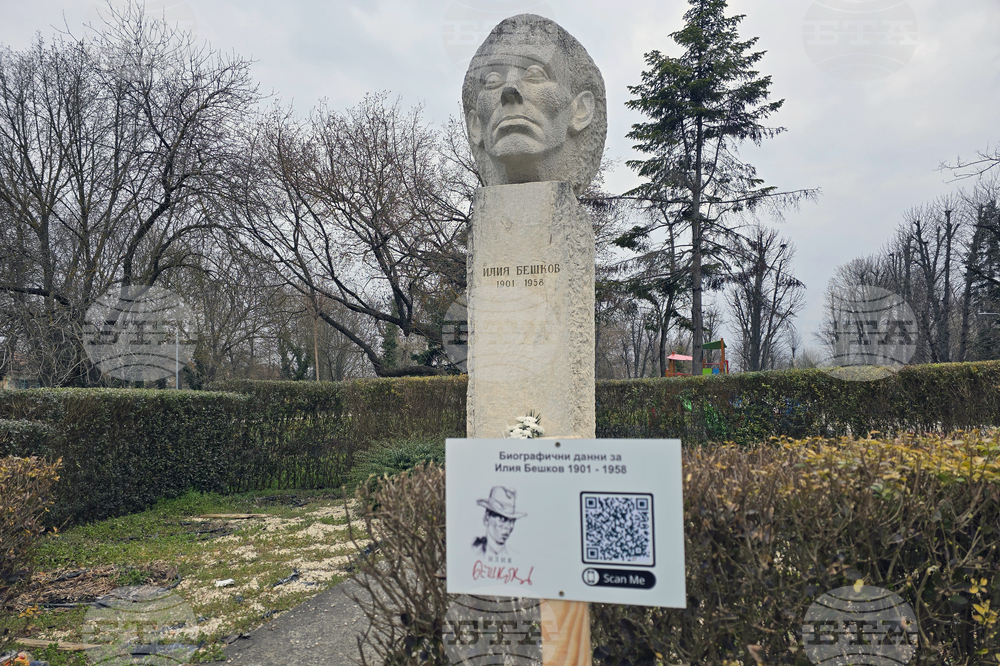 Долни Дъбник - дръвчета - Илия Бешков