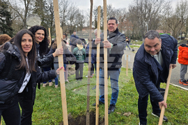Долни Дъбник - дръвчета - Илия Бешков