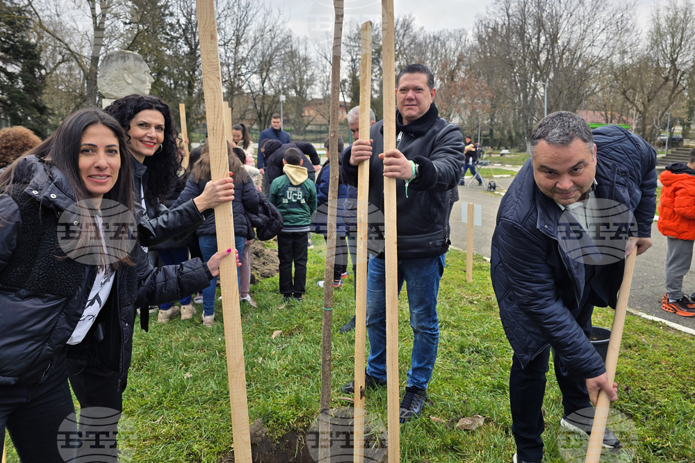 Долни Дъбник - дръвчета - Илия Бешков