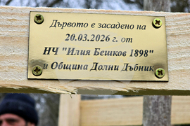 Долни Дъбник - дръвчета - Илия Бешков