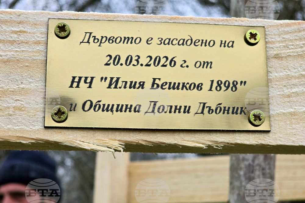 Долни Дъбник - дръвчета - Илия Бешков