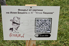 Долни Дъбник - дръвчета - Илия Бешков