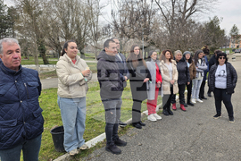 Долни Дъбник - дръвчета - Илия Бешков
