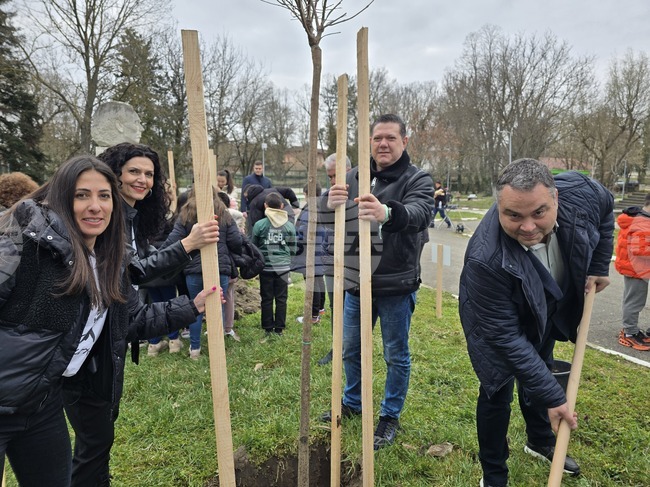 В "Алея на живата памет" в Долни Дъбник засадиха дръвчета в чест на 125 години от рождението на Илия Бешков