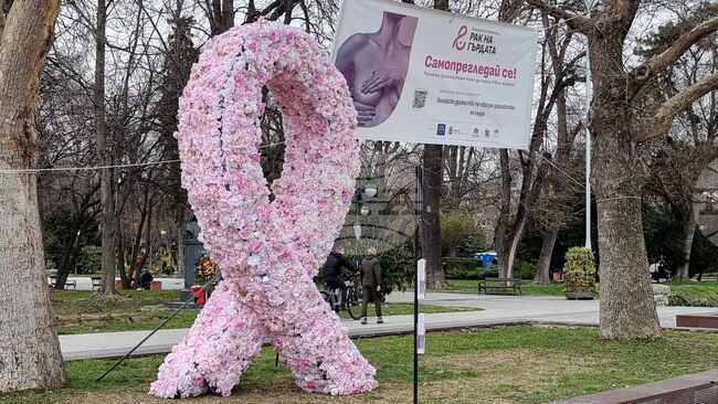В Пловдив бе открита арт инсталацията на пътуващата розова панделка