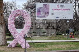Пловдив - Розова панделка - Национална кампания