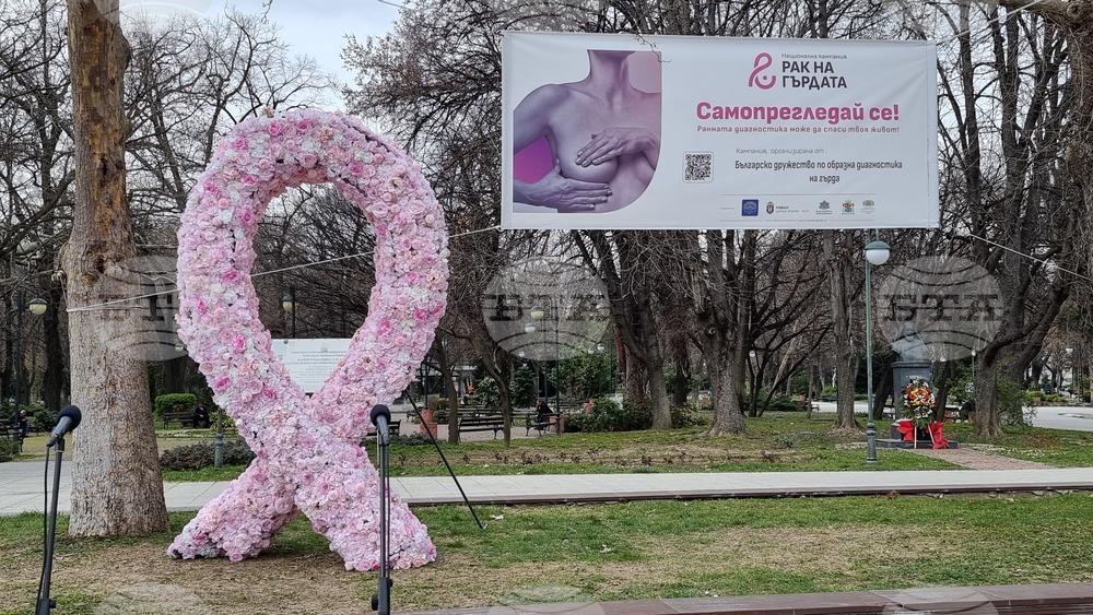 Пловдив - Розова панделка - Национална кампания