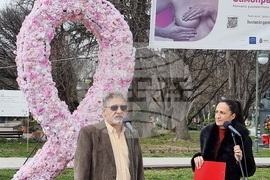 Пловдив - Розова панделка - Национална кампания