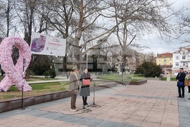 Пловдив - Розова панделка - Национална кампания