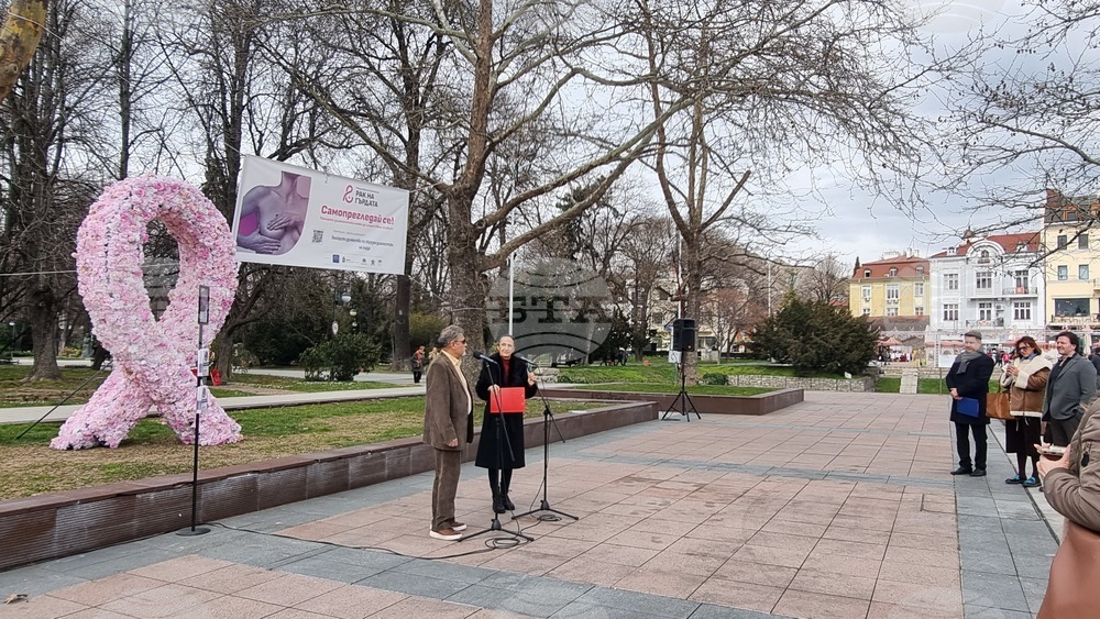 Пловдив - Розова панделка - Национална кампания