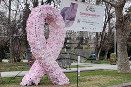 Пловдив - Розова панделка - Национална кампания