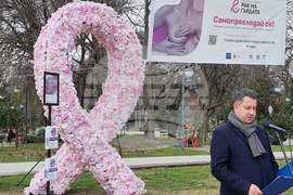 Пловдив - Розова панделка - Национална кампания