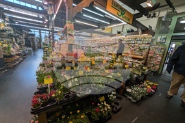 Германия - Франкфурт на Майн - ежедневие