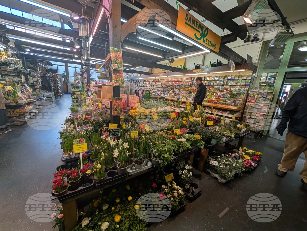 Германия - Франкфурт на Майн - ежедневие