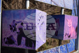 Разлог - хълм - Голак - алея