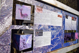 Разлог - хълм - Голак - алея