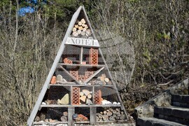 Разлог - хълм - Голак - алея