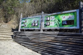 Разлог - хълм - Голак - алея