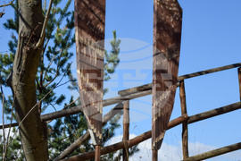 Разлог - хълм - Голак - алея